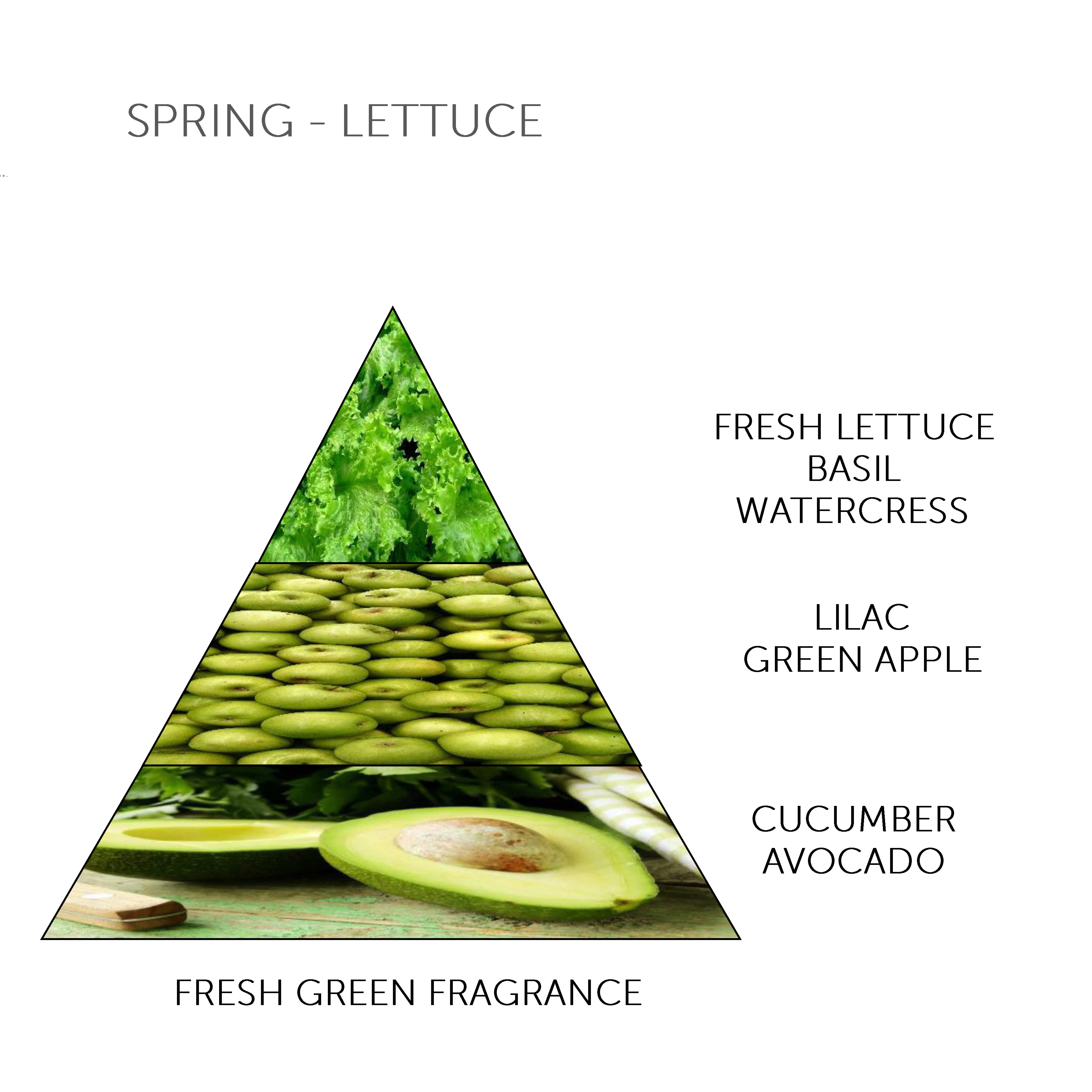 Soap Bar Spring - Lettuce