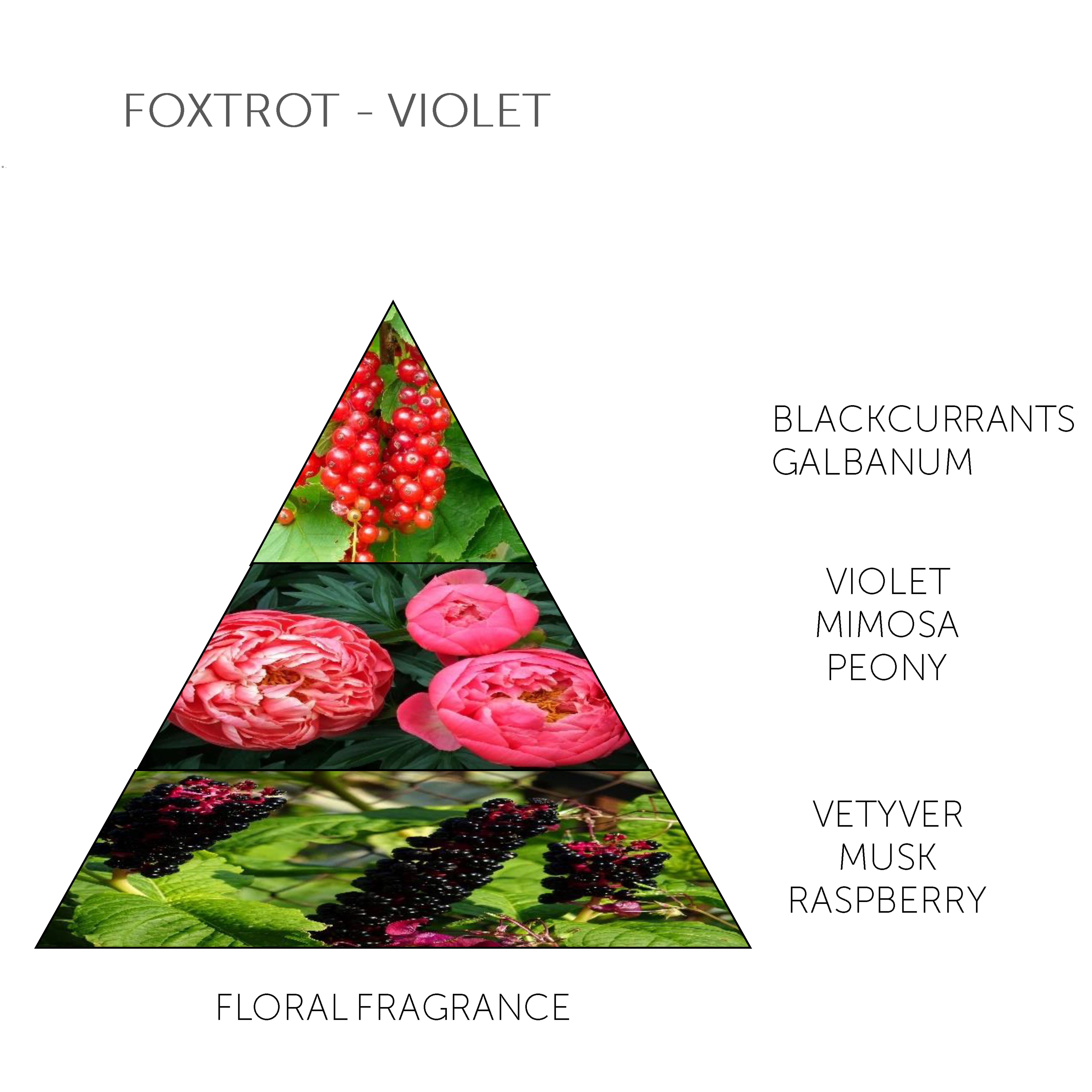 Soap Bar Fox Trot - Violet