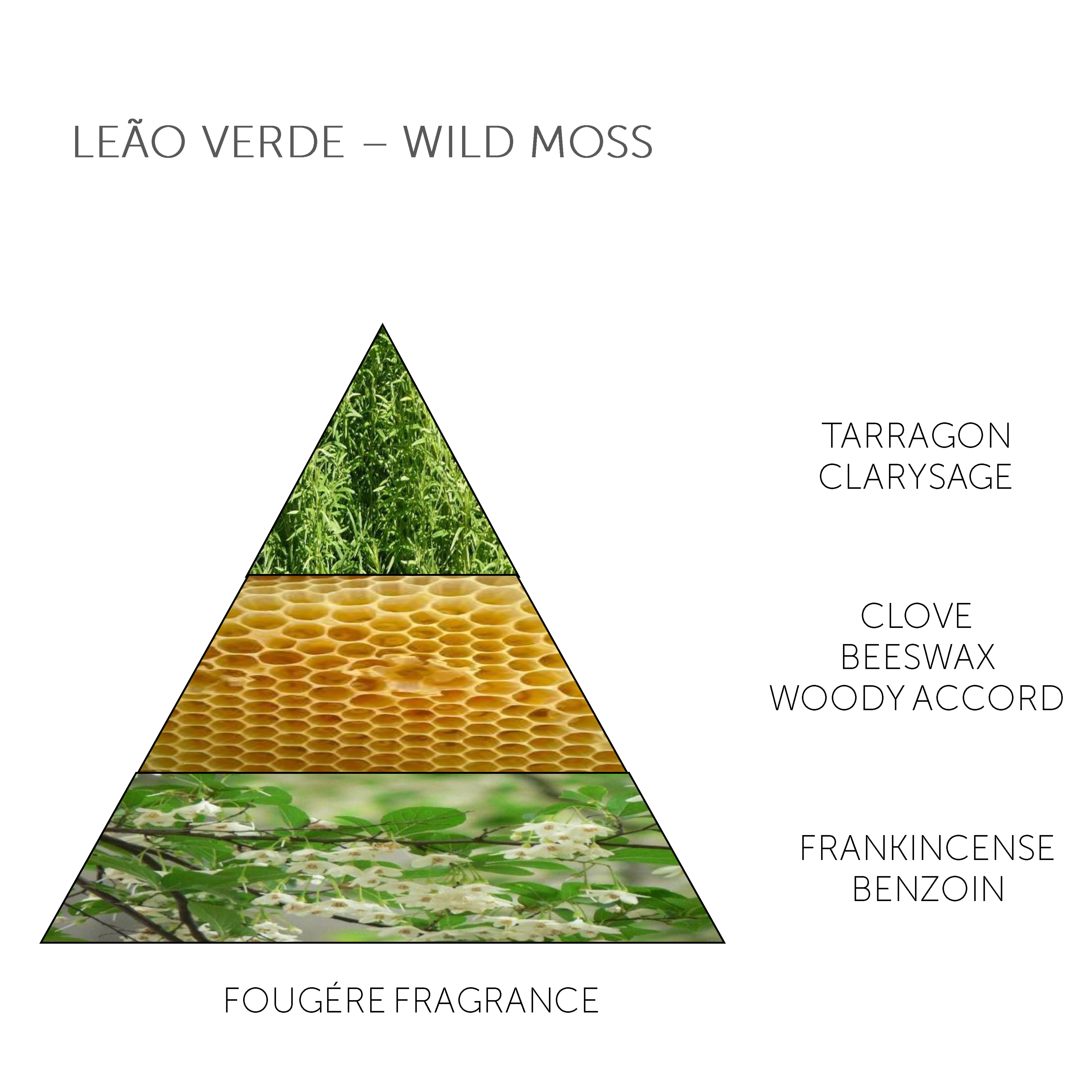 Claus Porto Soap Bar Leão Verde Wild Moss 150g - 4.1 - CP-F012W