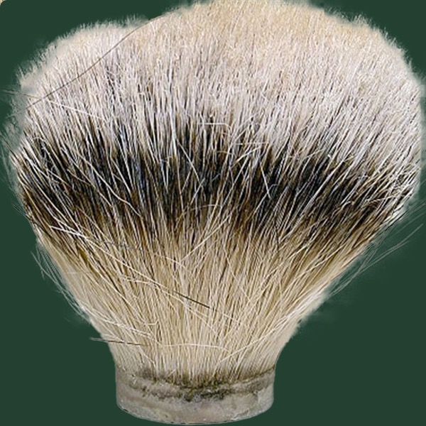 Scheersalon informatie - de scheerkwast - schimmel Scheersalon informatie - de scheerkwast - schimmel